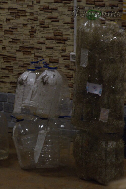 2022-08-17 17-54-31_IMG_0027_r